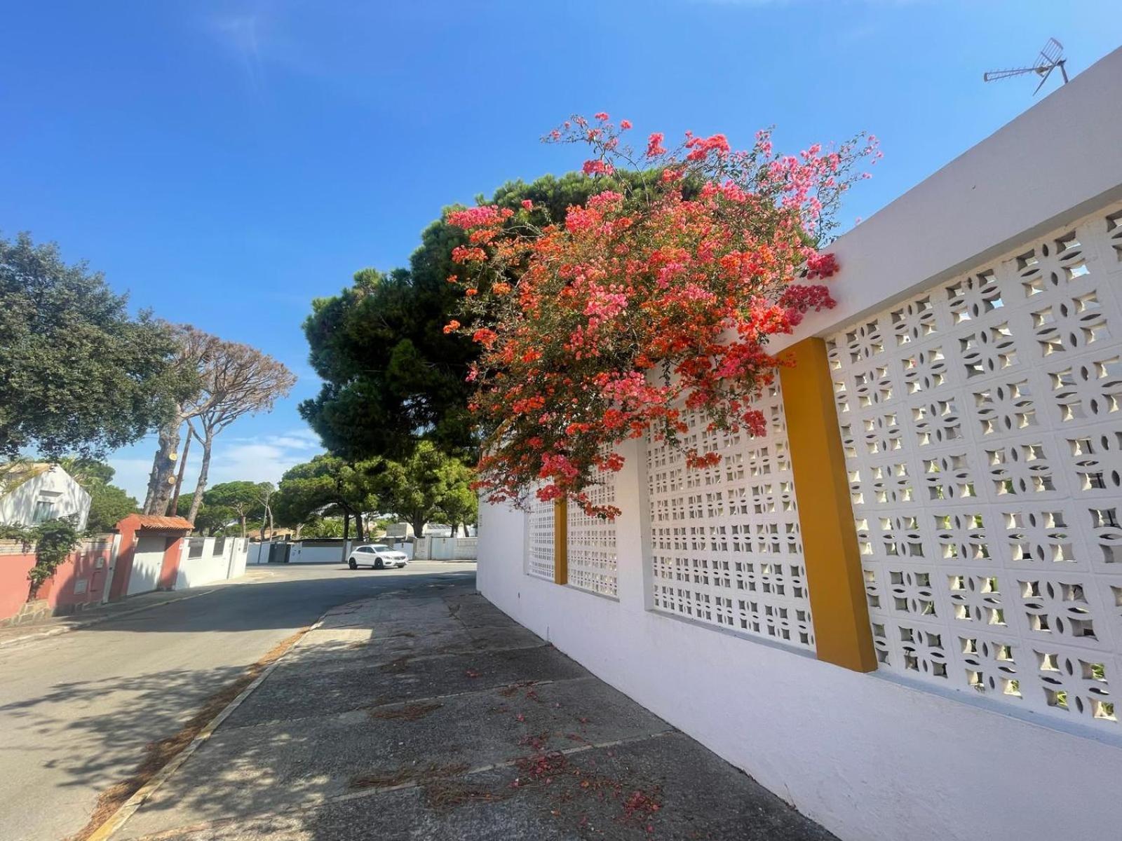 Pescadores Del Sur Apartment Chiclana de la Frontera Exterior foto